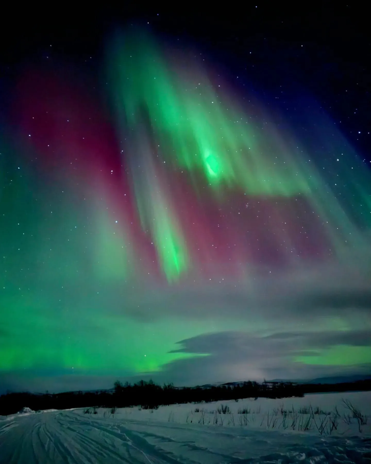 Auroras boreales sobre un paisaje nórdico