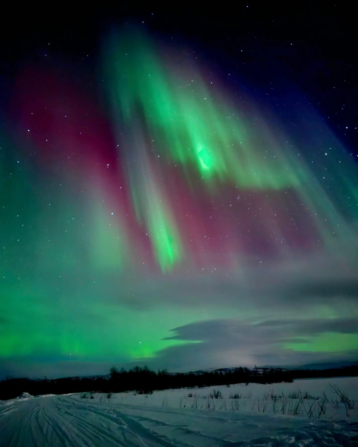 Auroras boreales sobre un paisaje nórdico