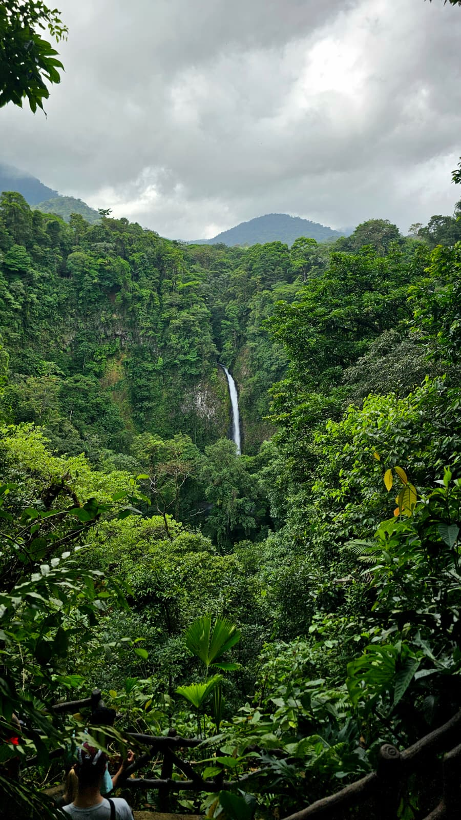 Cascada entre el bosque tropical