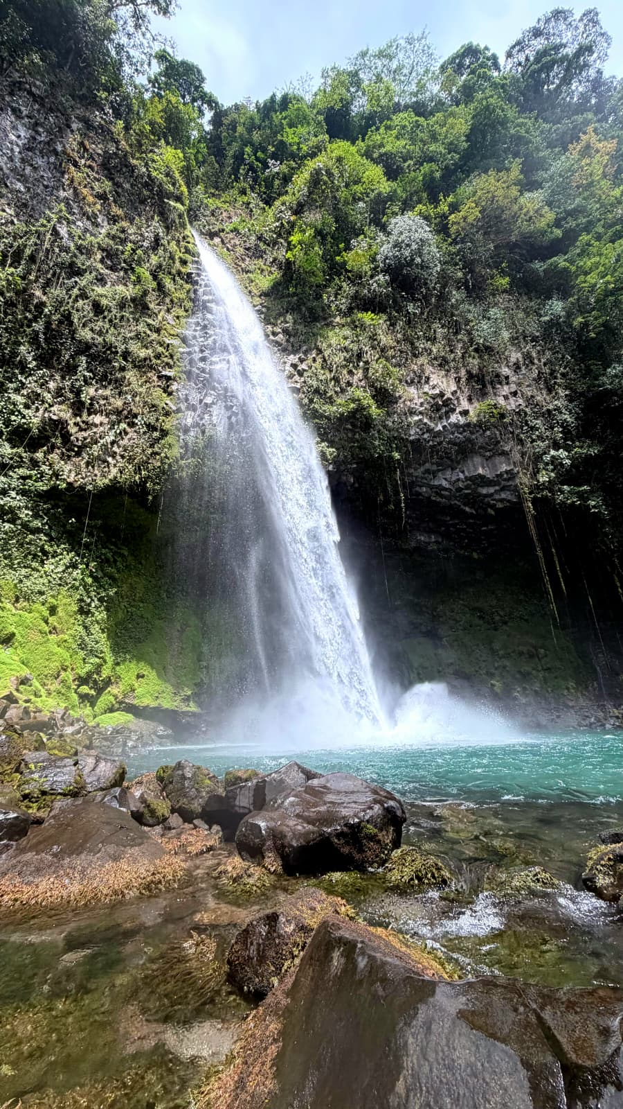 Cascada en un entorno de bosque