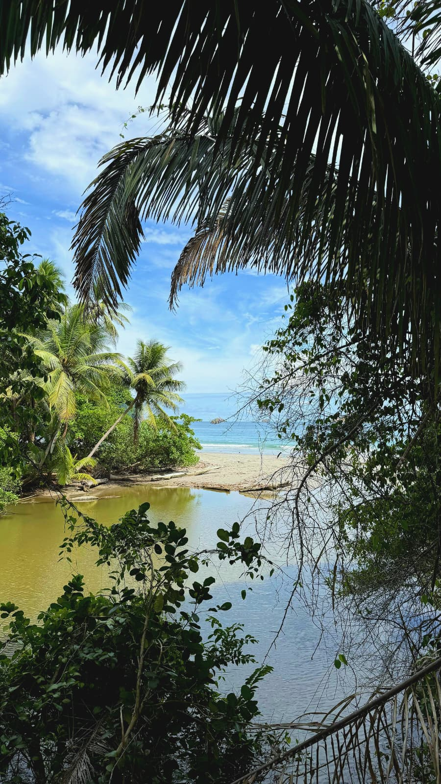 Río desembocando en una playa de Costa Rica